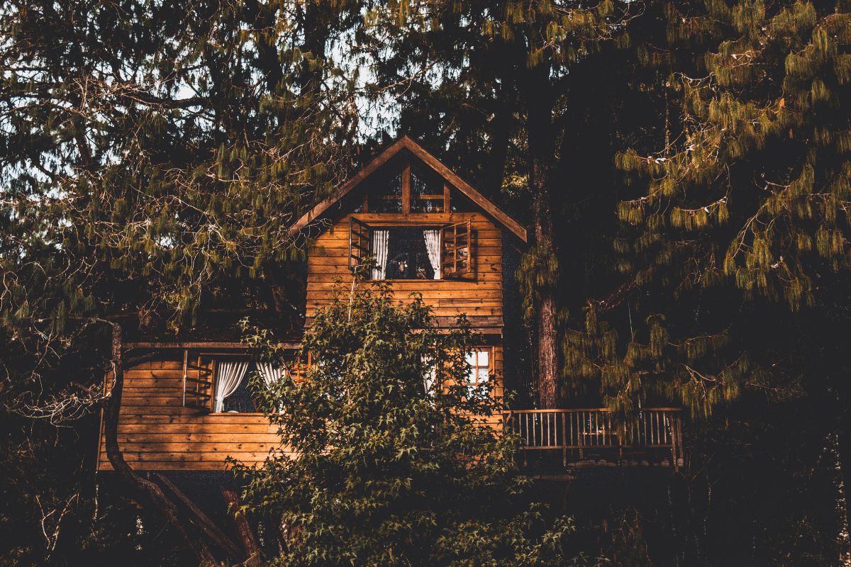 Treehouses and Cabins